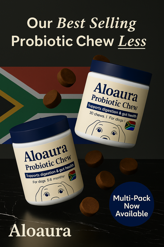 Aloaura™Probiotic Chew